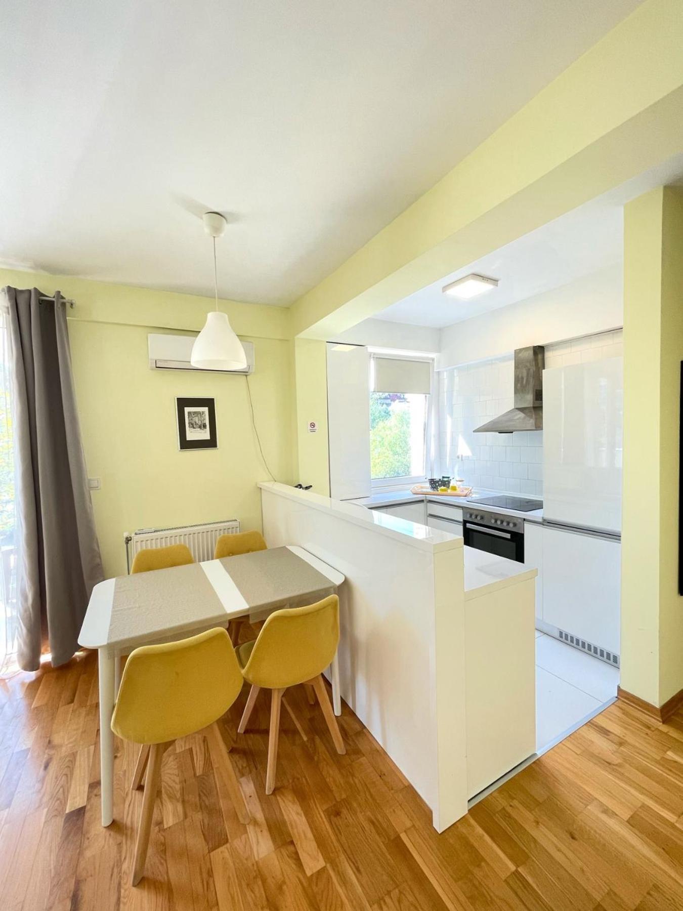 Apartment Irena 3 スコピエ エクステリア 写真